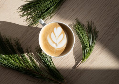 Top view of aromatic foamy cappuccino with latte art placed on wooden table near fresh green fir twigs