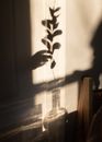 Anonymous person putting plant into glass vase