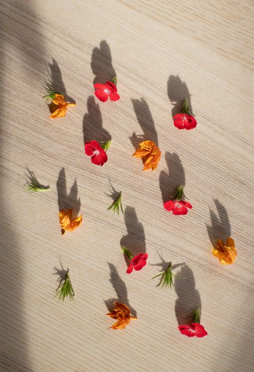 Free Top view of gentle red flowers and Cape gooseberries arranged on wooden table in sunlight Stock Photo