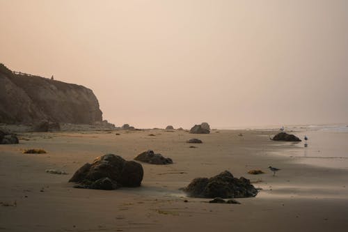 모래, 물, 암반층의 무료 스톡 사진
