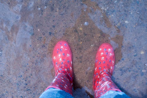 Free Person Wearing Pink Knee-high Rain Boots Standing on Brown Floor Stock Photo