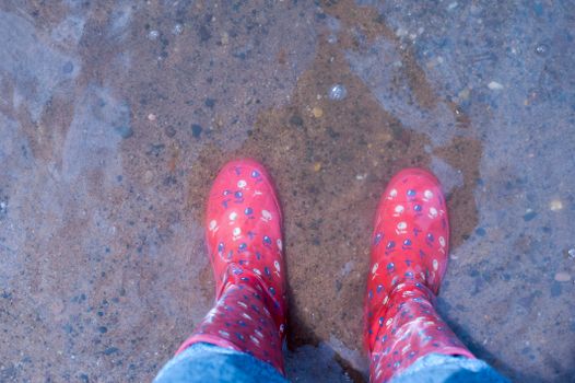 Red polka-dot rain boots standing in a puddle on a rainy day.