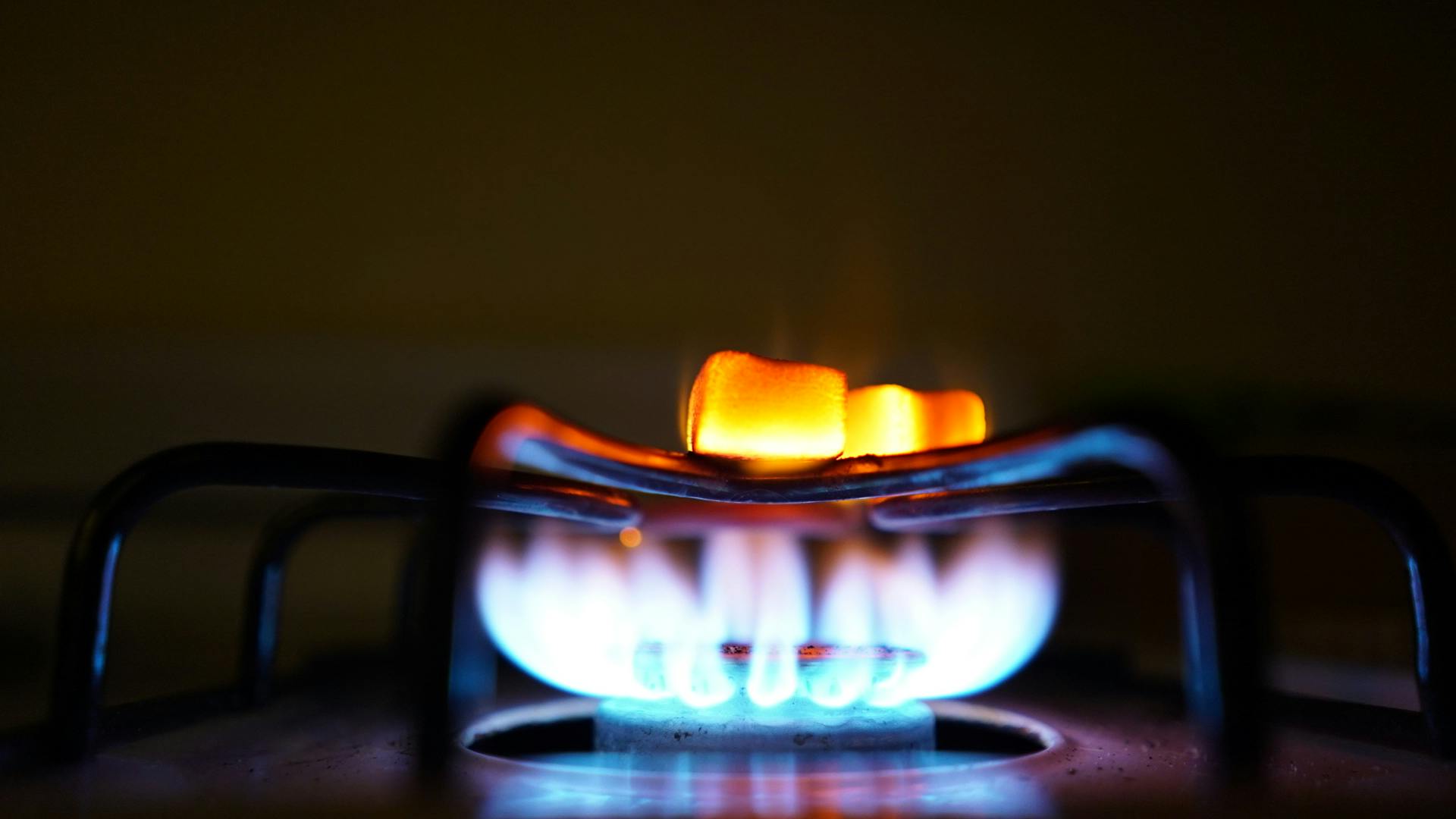 10,500+ Gas Stove Burner Stock Photos, Pictures & Royalty-Free Images -  iStock | Burning gas stove burner, Gas stove burner from above