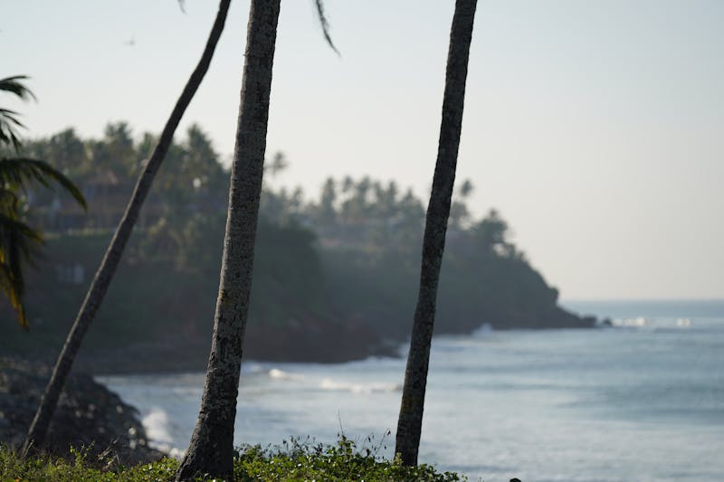 Professional Locksmith