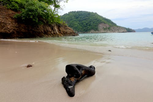 Ilmainen kuvapankkikuva tunnisteilla costa rica, hiekka, hiekkaranta