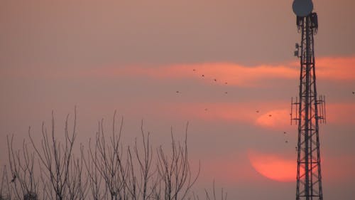 Základová fotografie zdarma na téma canon, k2grewal, oranžová obloha