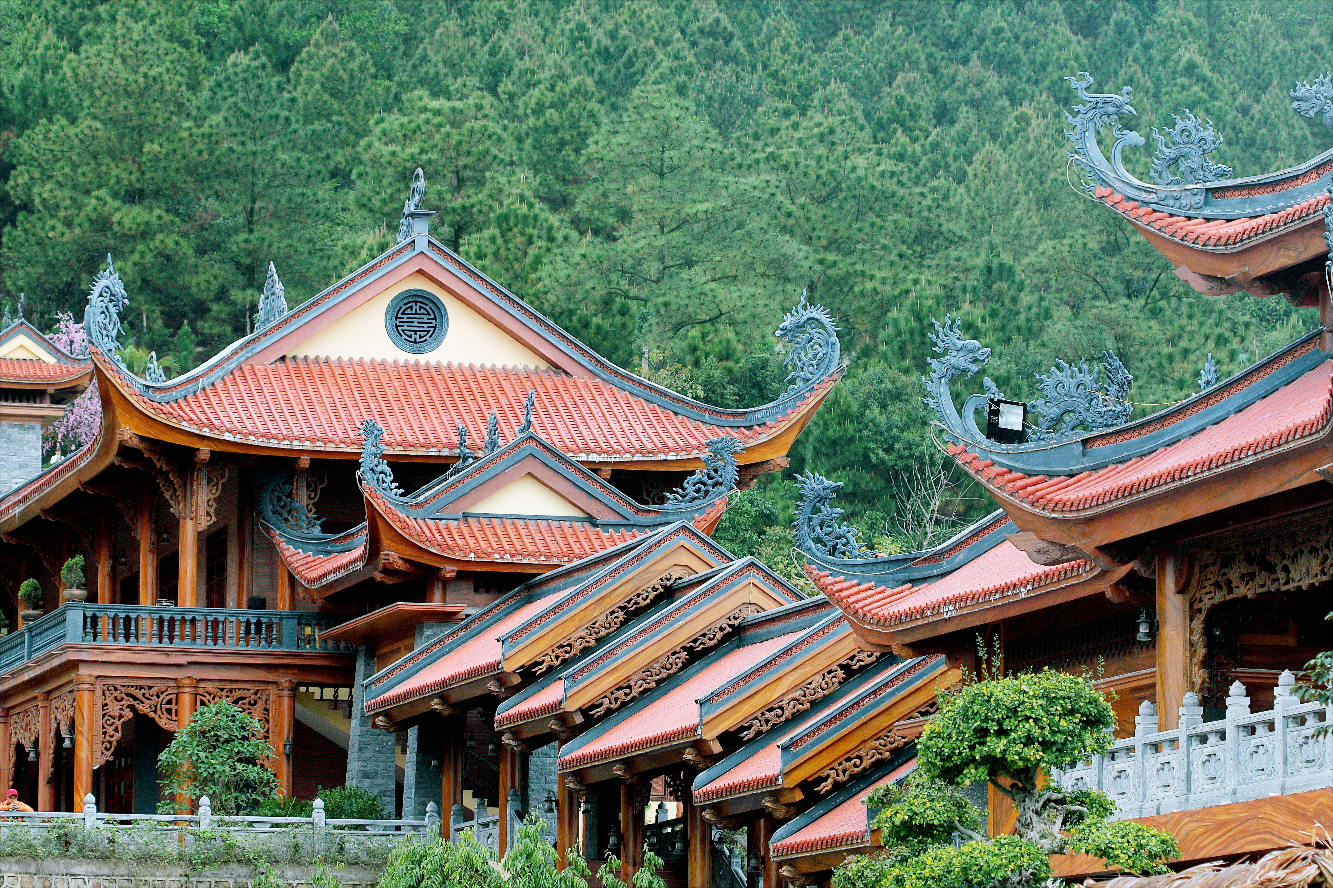 Kostenloses Foto zum Thema chuÃ ba vÃ ng.