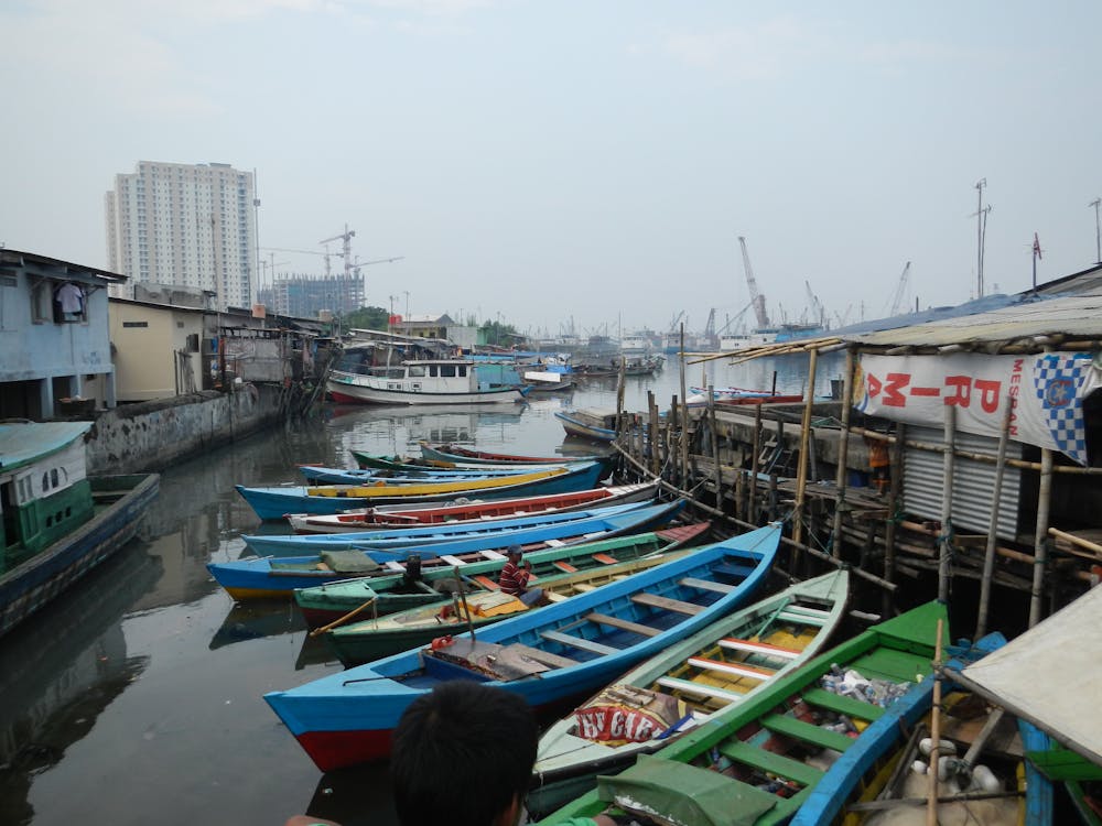 Fotos de stock gratuitas de barco de pesca, mar, puerto