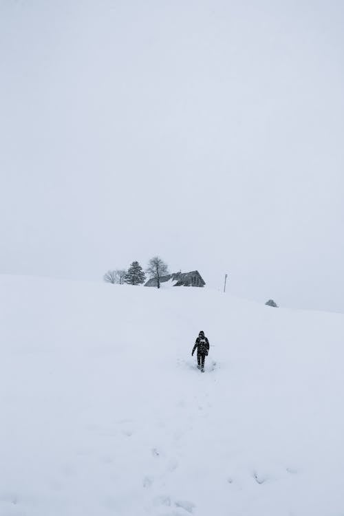 Free Back view of anonymous person in outerwear walking on snow towards building and bare trees in winter day Stock Photo