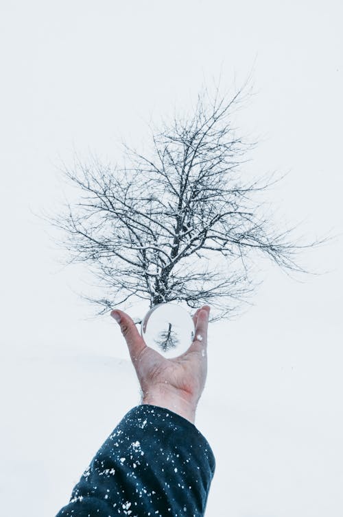 Crop anonymous male with outstretched hand holding magnifier against leafless tree under snowfall in misty winter day