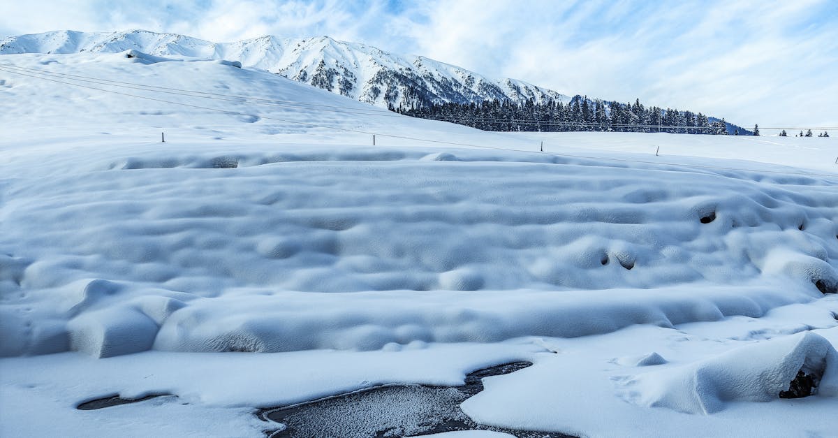 What temperature does 30 alcohol freezes