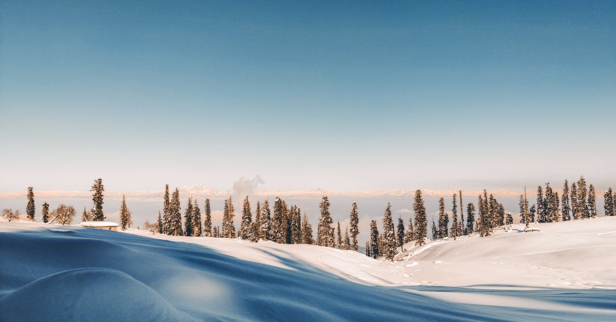 What temperature does 70 alcohol freezes