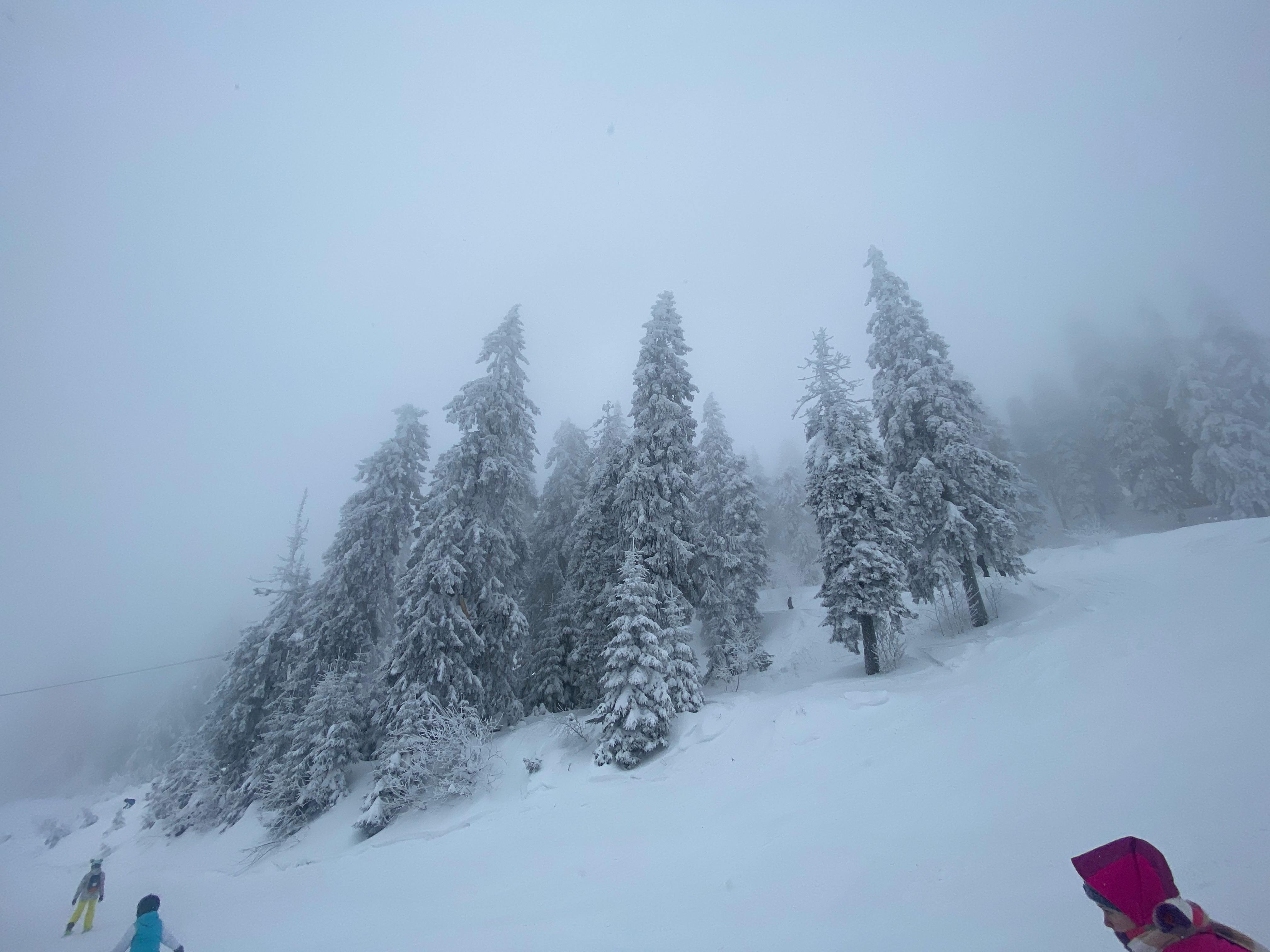 Crowd in an arena cheering at a live sports entertainment event