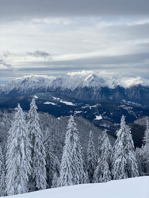 Free Snow Capped Mountains Under the White Sky Stock Photo