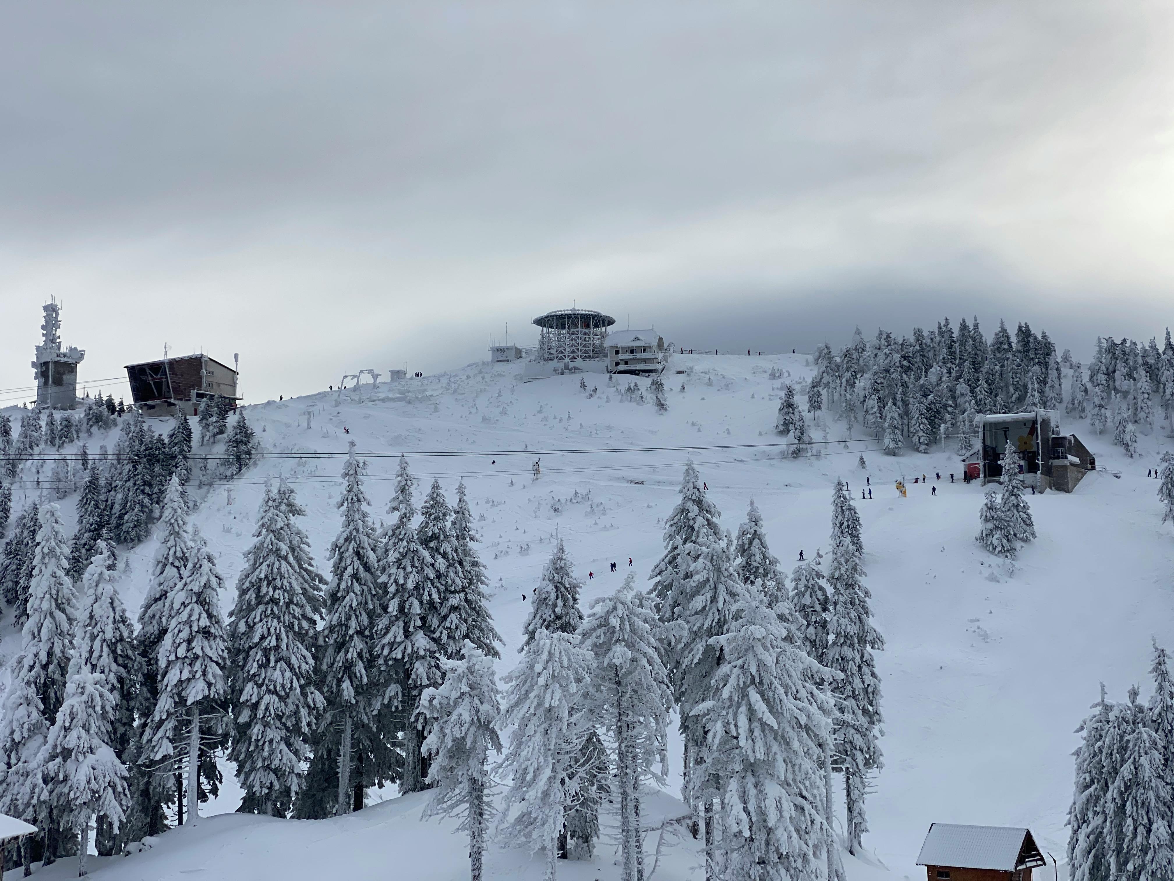Serene winter landscape at a snowy mountain resort with frosty trees and ski lifts.