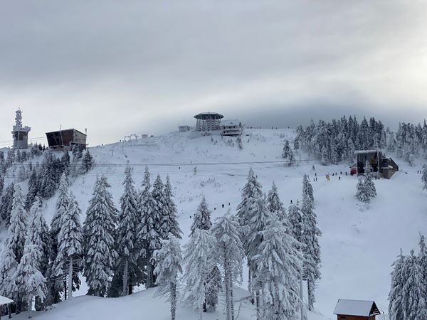 Ski resort