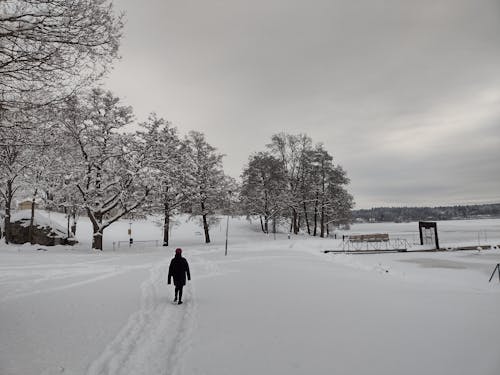 Kostnadsfri bild av kallt väder, promenera, snö