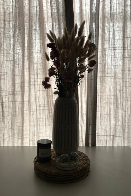 Immagine gratuita di fiore essiccato, fiori secchi, interno scuro