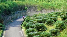 A Person Walking on the Road