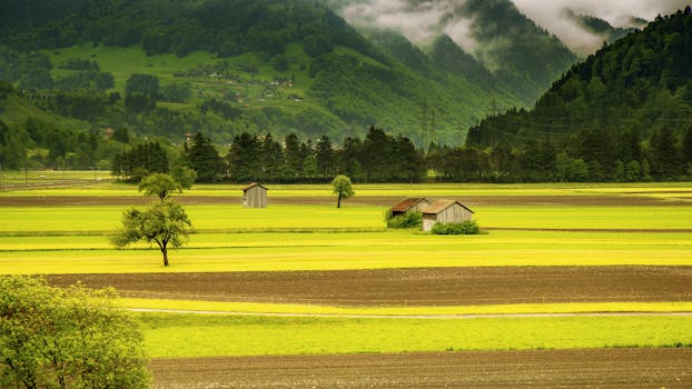 Brown House in the Middle of Green Field Grass Near Mountains