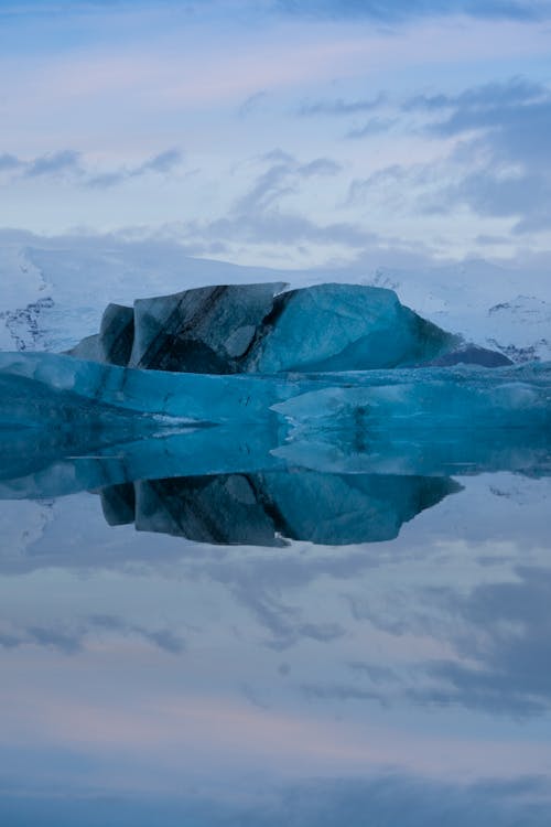 Foto d'estoc gratuïta de congelat, constipat, fotografia de natura