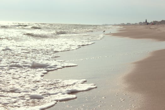 Peaceful view of a sandy beach with foamy waves under a soft sky.