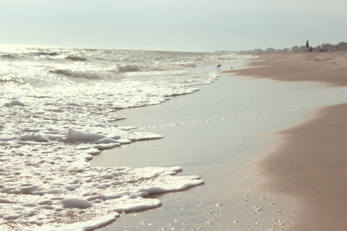 Ücretsiz dalgalar, deniz, kum içeren Ücretsiz stok fotoğraf Stok Fotoğraflar