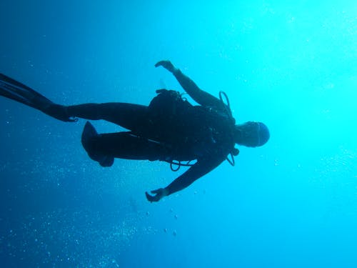 Free stock photo of people, scuba diver, sea