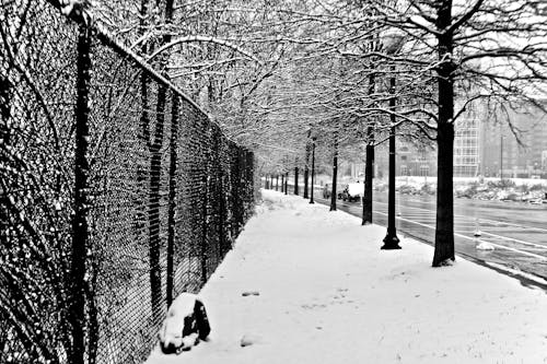 Imagine de stoc gratuită din alb-negru, congelat, drum