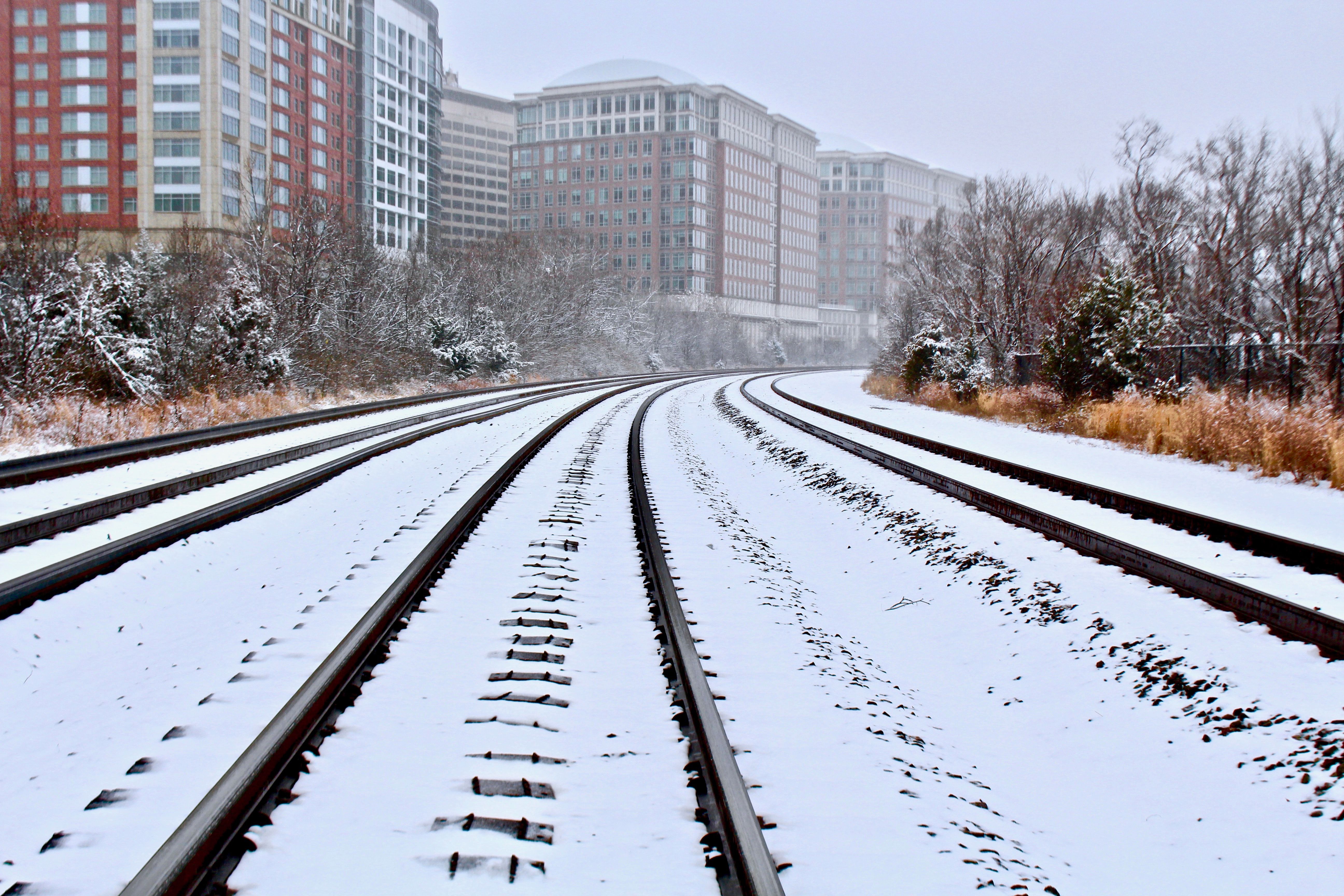 Verschneite Bahngleise durch Winterwald