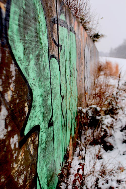 Gratis Immagine gratuita di graffiti, inverno, muri Foto a disposizione