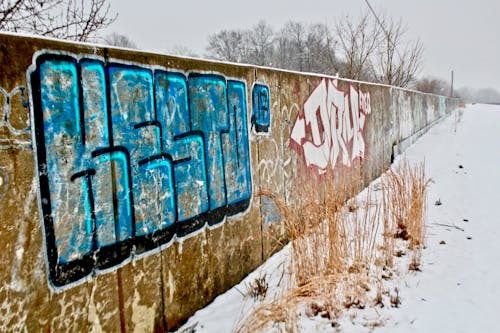 Wall with Graffiti in Abandoned Landscape