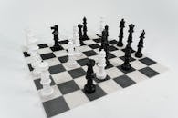 Black and White Chess Pieces