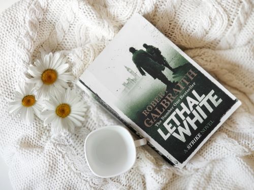 Free stock photo of book, books, cozy Stock Photo