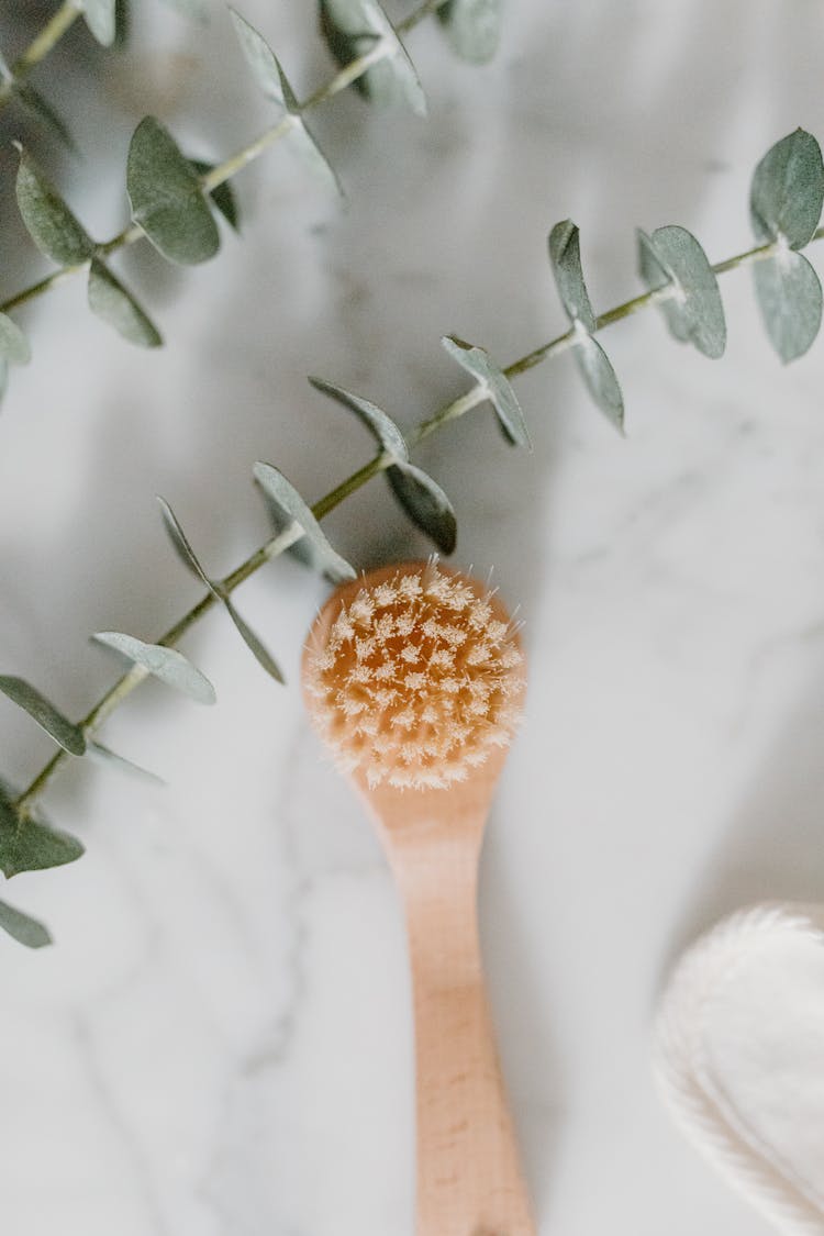 Close-Up Shot Of A Bath Brush