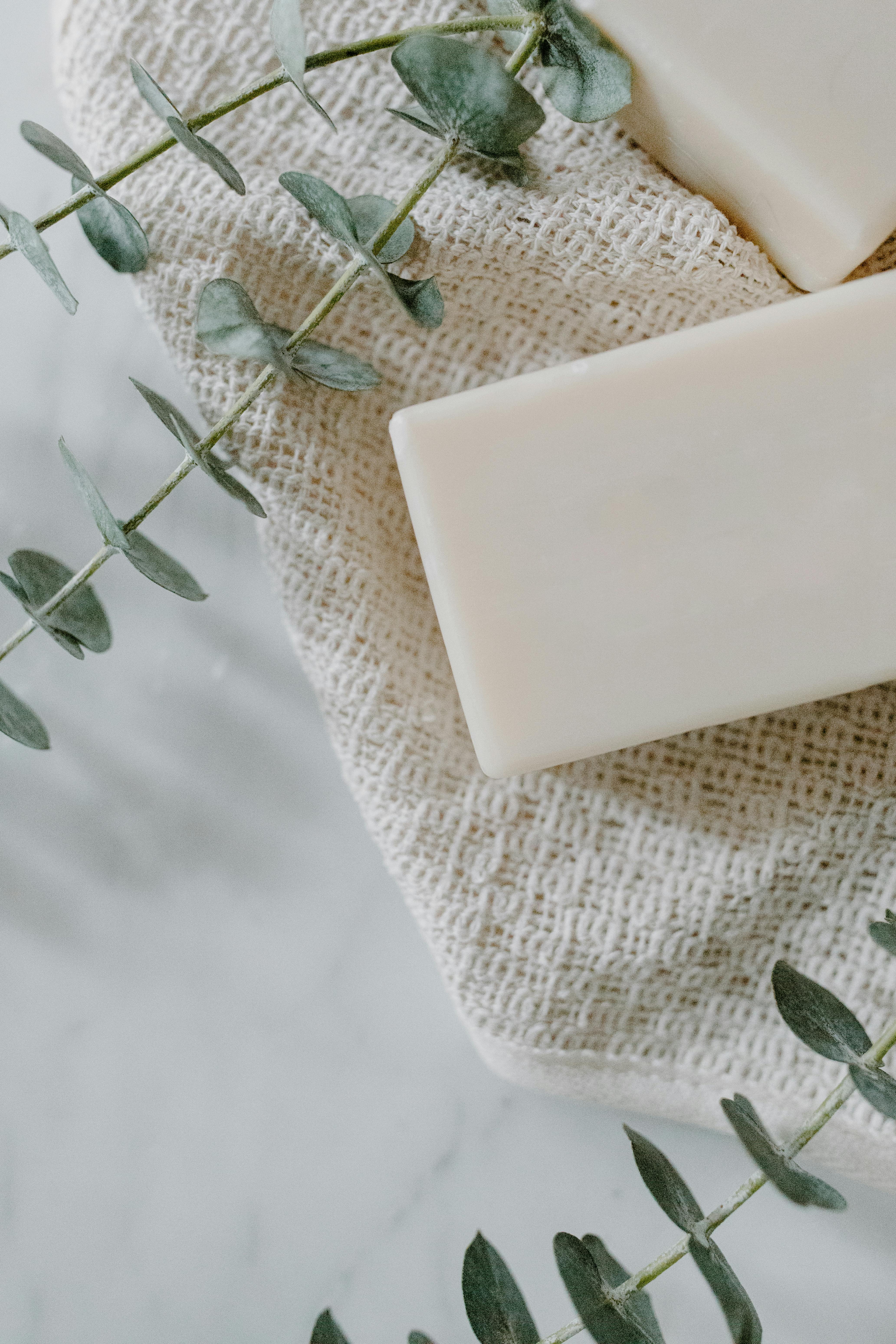 top view of bar soap and eucalyptus leaves