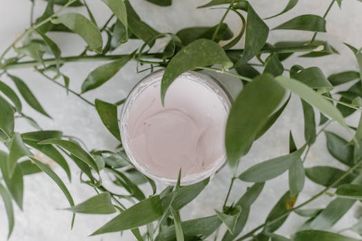 Top view of a skincare cream container surrounded by lush green leaves, offering a natural and organic feel.