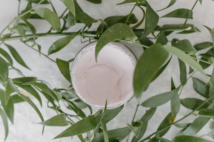 A Cream In A Round Container With Branches Of Bamboo Leaves