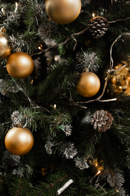 Close-up of Ornaments on a Christmas Tree 