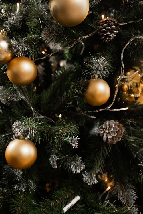 Free Close-up of a Christmas tree adorned with gold baubles and pinecones, perfect holiday decor. Stock Photo