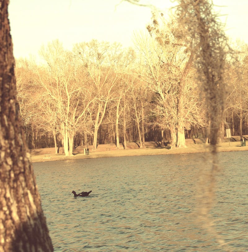 منظم مكتب وأقلام خشبي 3