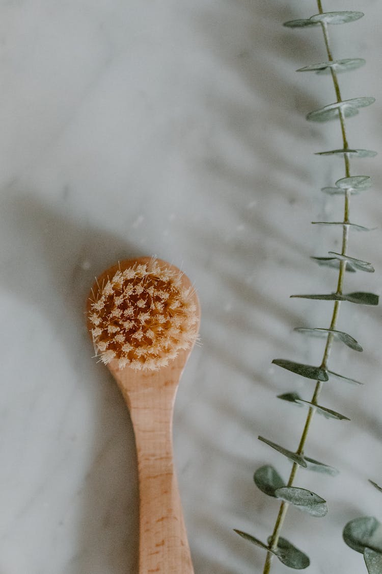 Wooden Bath Body Brush