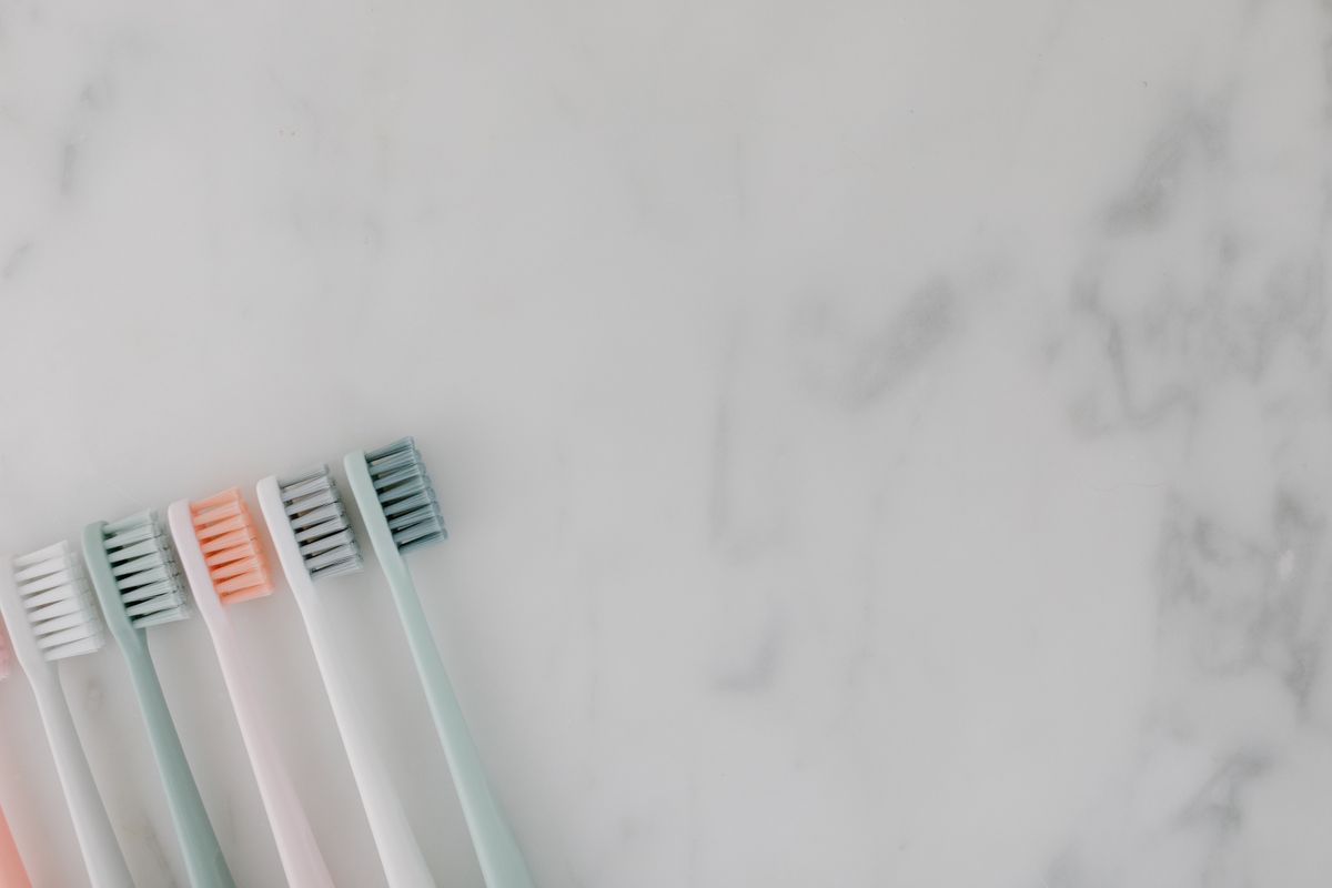 Comment brosser les dents d'un chien ? - Quels outils choisir pour brosser les dents de son chien ?