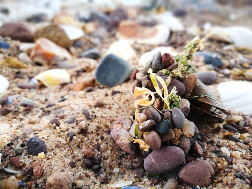 Foto stok gratis kerikil, pantai, pantai kerikil