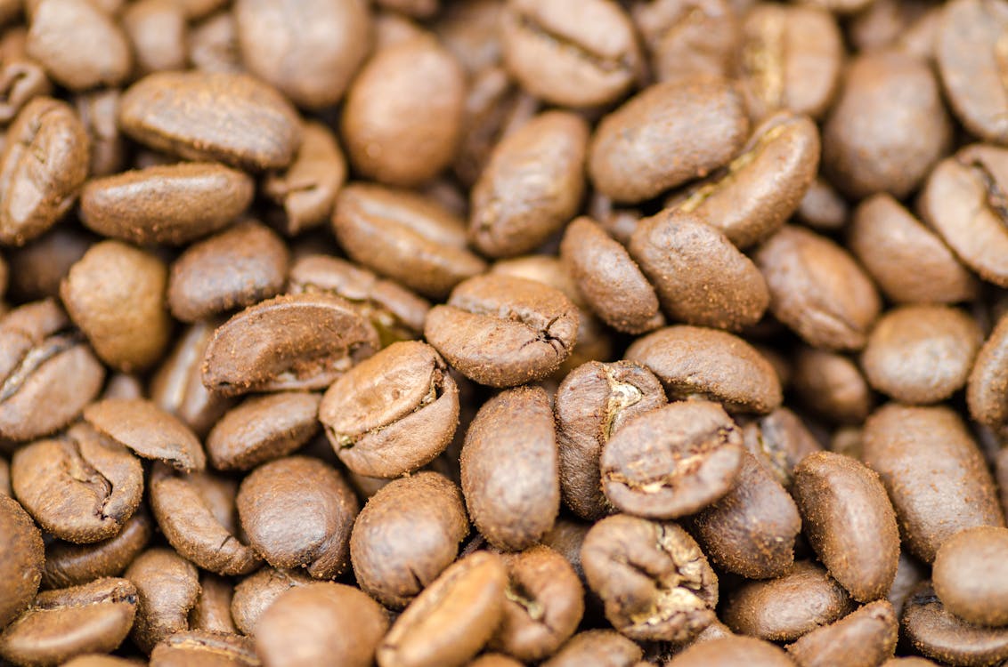 Free Coffee Beans Stock Photo