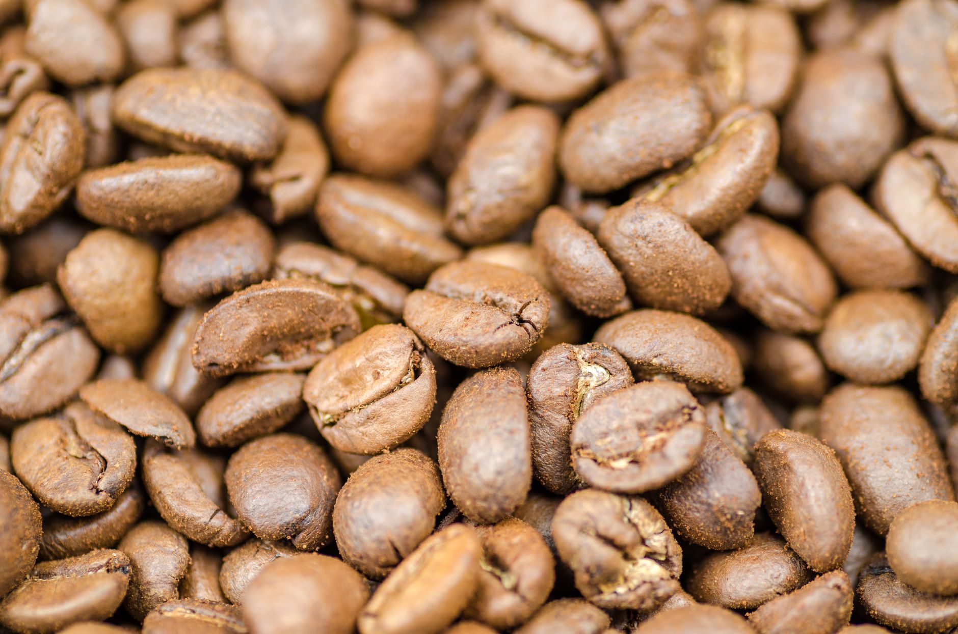 Can You Eat Coffee Beans? Exploring the Benefits and Risks