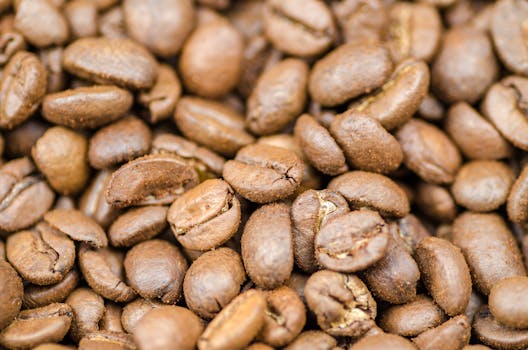 High-resolution image featuring a close-up of aromatic roasted coffee beans, perfect for food and beverage themes.
