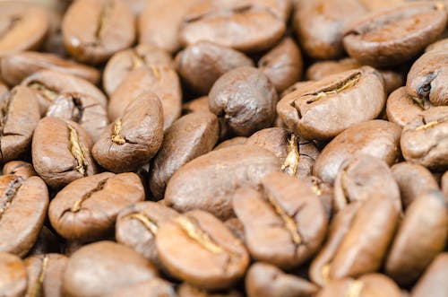 Free Coffee Beans Stock Photo