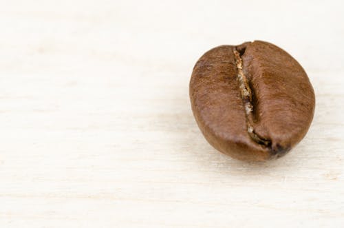Free Coffee Bean Stock Photo