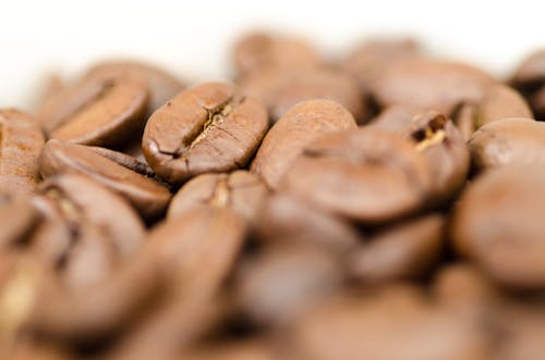 Kahve çekirdekleri Yakın çekim Fotoğrafçılığı